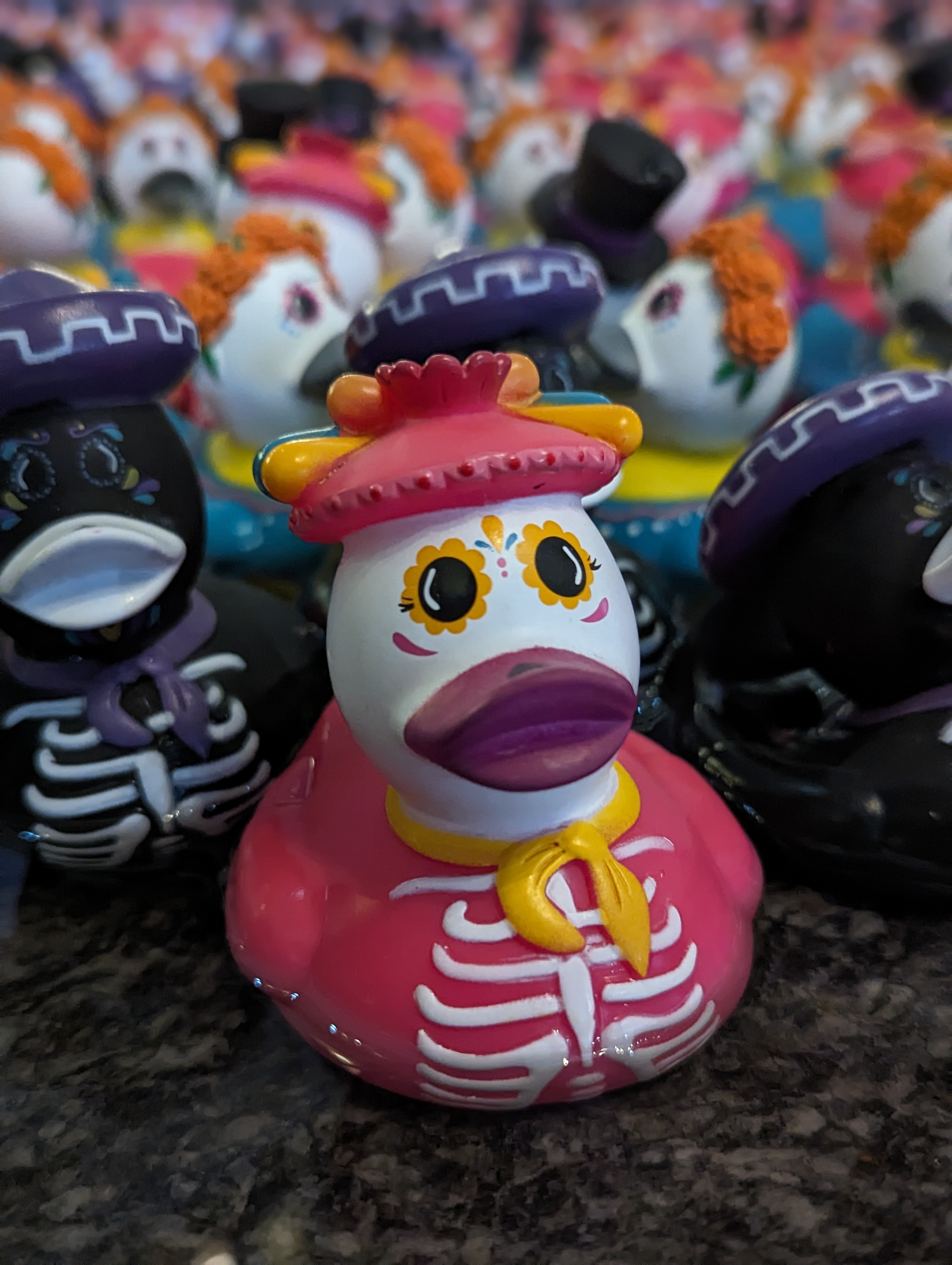 Patita Catrina Rosa