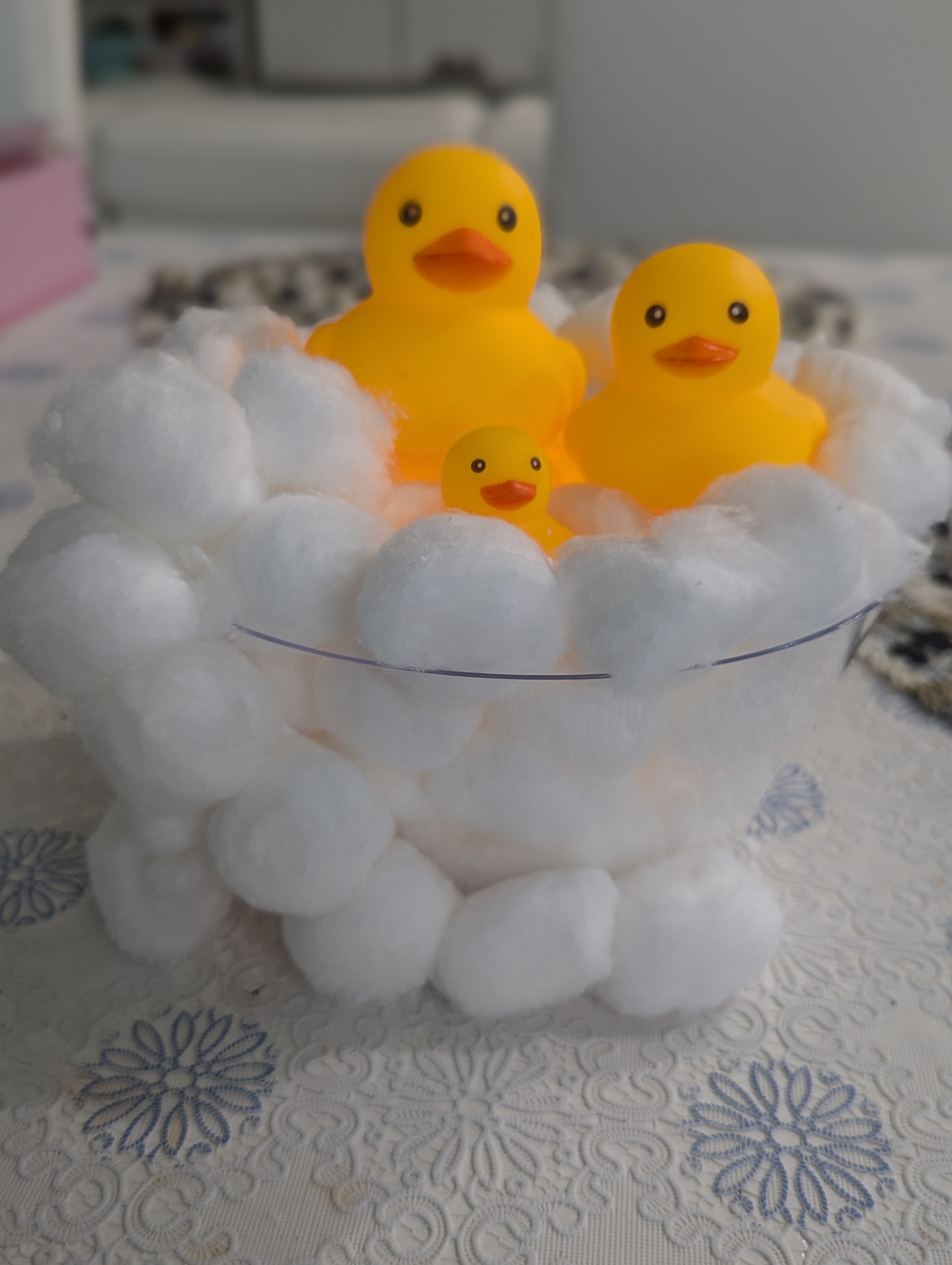 Familia de Patitos